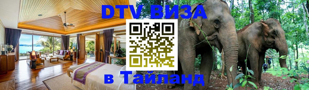 Оформление DTV визы под ключ: стоимость и тарифы, только загранпаспорт - Нейпьидо  19.11.2025 